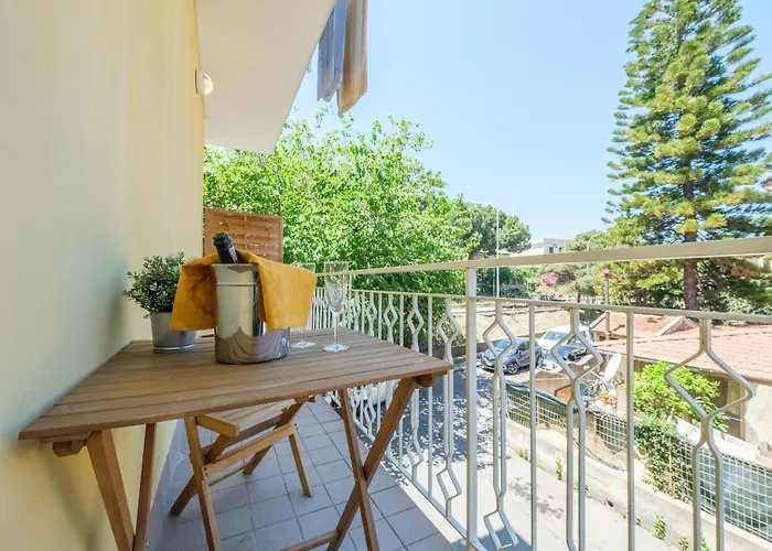 Paladino ジャルディーニ・ナクソス