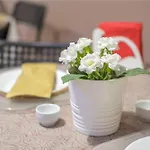 Paladino 4* Giardini-Naxos