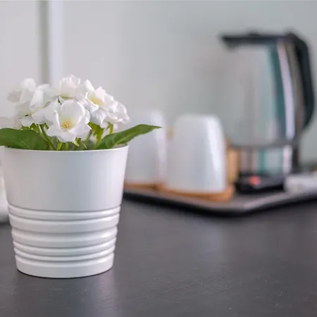 Paladino 贾迪尼-纳克索斯