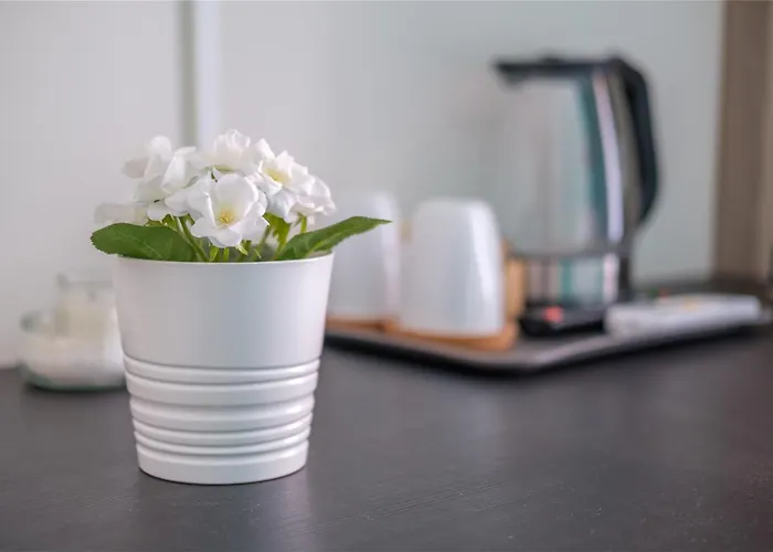 Paladino Giardini-Naxos