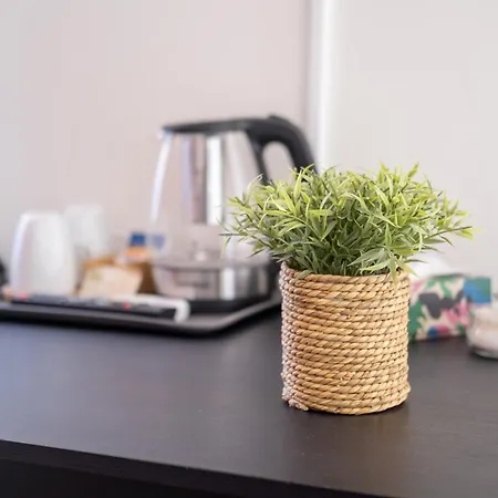 לינה וארוחת בוקר Paladino