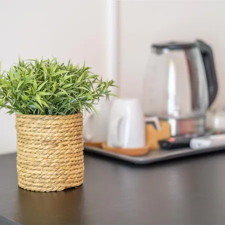 Paladino גיארדיני נאקסוס