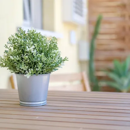 Paladino לינה וארוחת בוקר גיארדיני נאקסוס